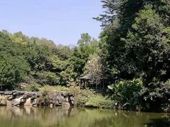 -榴花公园