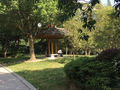 -荆川公园