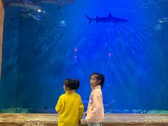 -华夏文旅海洋公园