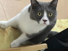 -蛙小侠·沸腾砂锅牛蛙(增城东汇城店)
