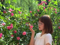 -西安市长乐公园