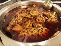 麻辣大鱼头锅-冯鱼头火锅(青蓝山美食一条街店)