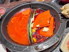 -蜀大侠火锅(总府路店)