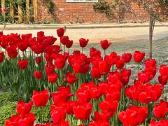 -祥源·阜阳生态乐园