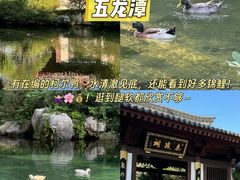 -满堂春特色餐馆