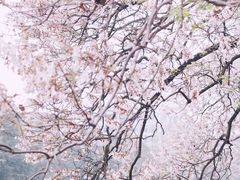 -红星桥(地铁站)