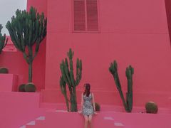 -漳州滨海火山岛自然生态风景区