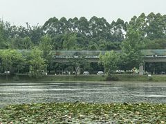-白鹭湾湿地公园