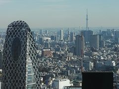 -东京都厅舍