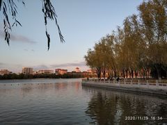 -莲花池公园