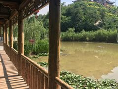 -渭南桃花源民俗文化园