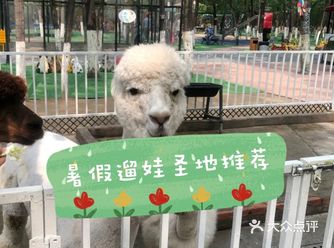 蓝可可亲子乐园，暑假快乐遛娃