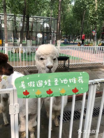 蓝可可亲子乐园,暑假快乐遛娃