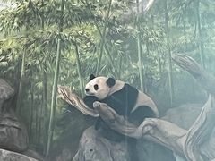 -武汉动物园