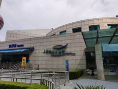 -上海海洋水族馆