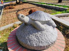 -黑龙江省森林植物园