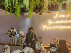 -Husky Go! 哈士奇体验馆·宠物咖啡厅狗咖