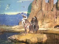 -大明湖海底世界