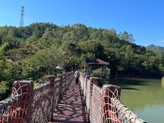 -广州白江湖森林公园