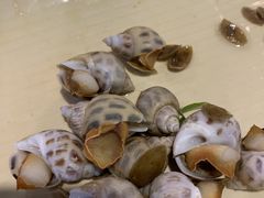 -崖口红树林海鲜餐厅