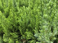 -西安市长乐公园