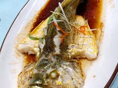 清蒸大黄鱼-北塘海鲜·天津菜(大光明桥旗舰店)