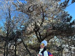 -安吉龙王山风景区