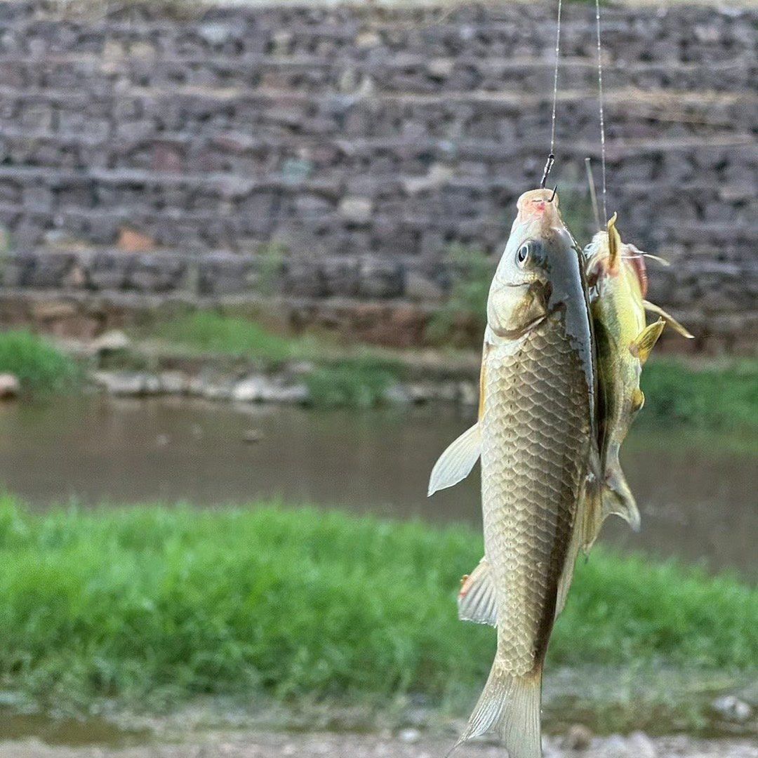 创作者赏金计划
开启今年最后的山间时光
傍晚时分来河边钓鱼