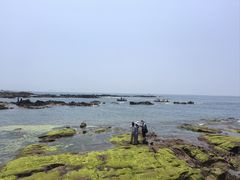 -青岛第二海水浴场