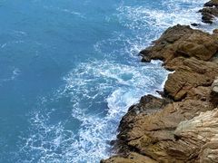 -广东惠东海龟国家级自然保护区