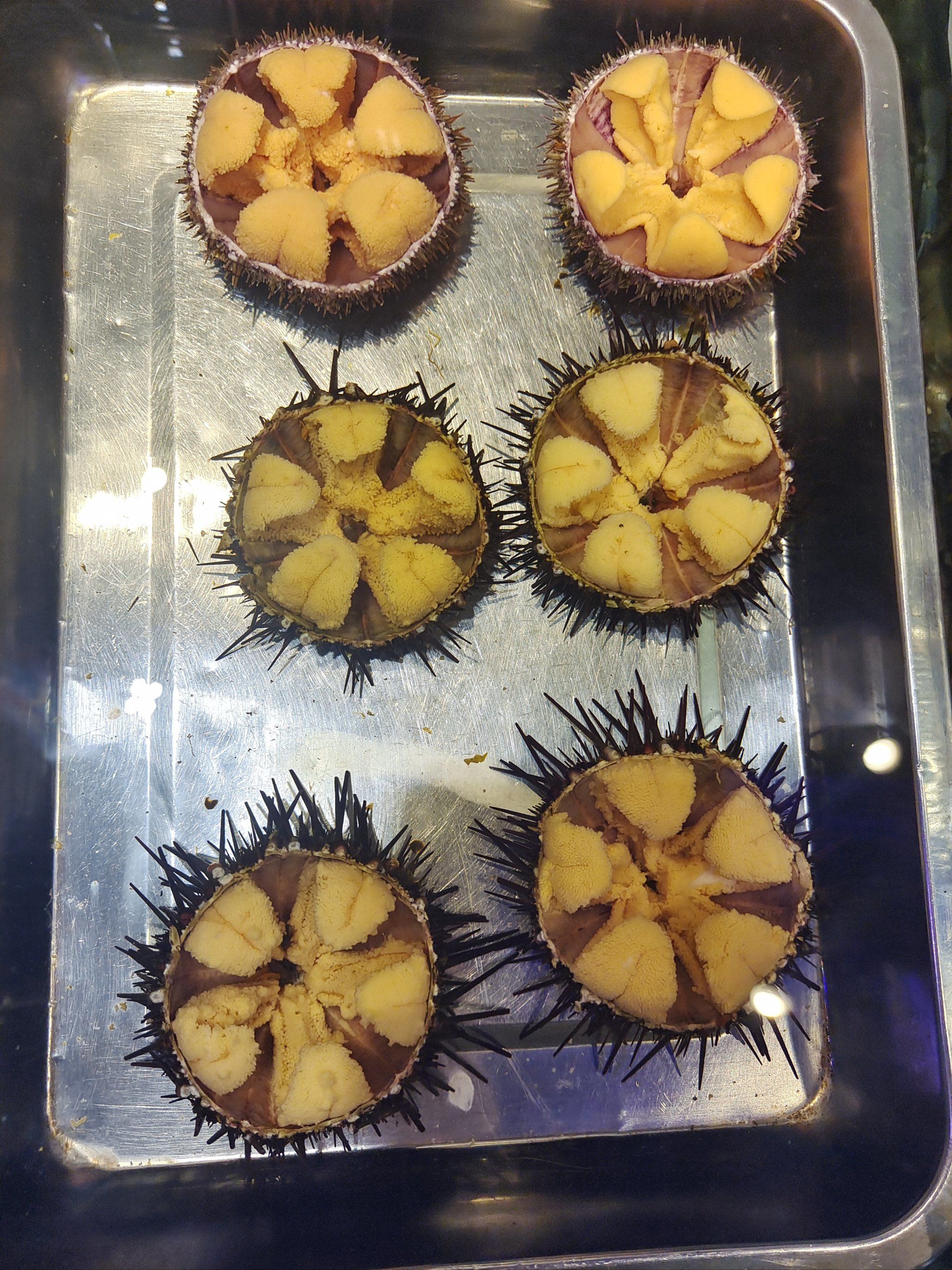 小平岛海胆,吃出海洋的鲜美!