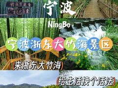 -宁波浙东大竹海景区