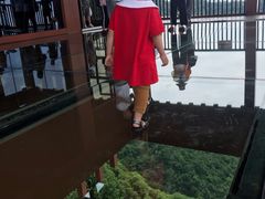 -少华山国家森林公园