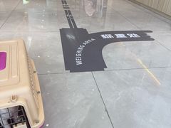 -瑞派宠物医院·CT影像中心·猫友好医院(奥城店)