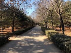 -森林公园(尖草坪区)