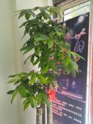 -美画·轻奢美甲美睫