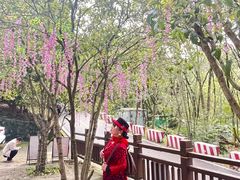-潜山国家森林公园