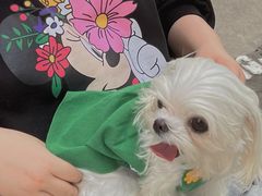 -Again Coffee Roaster(香蜜湖店)