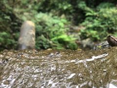 -素山寺森林公园