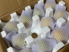 -王家墩东(地铁站)