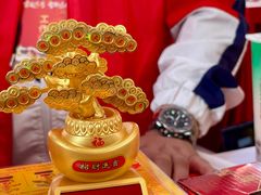 -越秀西湖花市(广州城市广场花卉店)