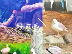-正佳雨林生态植物园