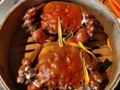 清蒸大闸蟹-蟹榭·本帮江浙菜·蟹宴(五角场合生汇商场店)