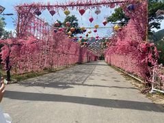 -北京凤凰岭