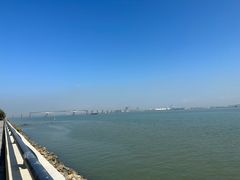 -大湾区中央湿地公园