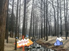 -白水寺森林公园