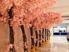 -宝龙广场(蓬莱区)