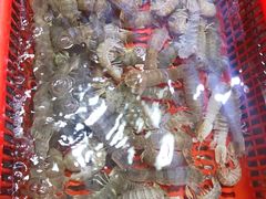 皮皮虾-船奇蒸汽海鲜·闽菜(八市海鲜总店)