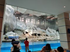 -帝企鹅自助餐厅•儿童岛•真企鹅(长隆企鹅酒店)