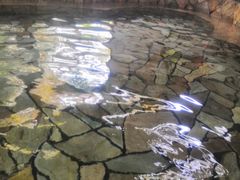 -唐风温泉